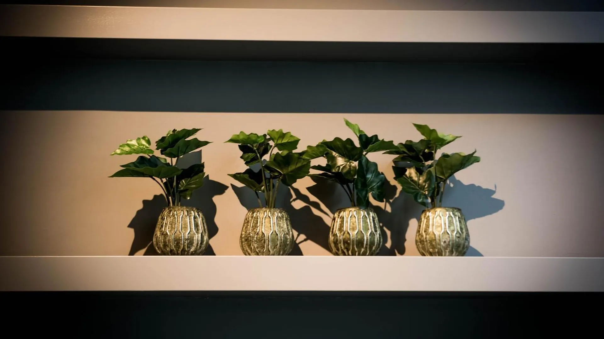 Fitz Roy Urban Hotel, Bar And Garden 마스트리흐트 호텔